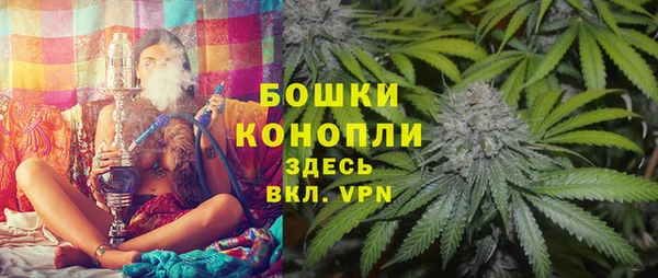 дживик Инсар