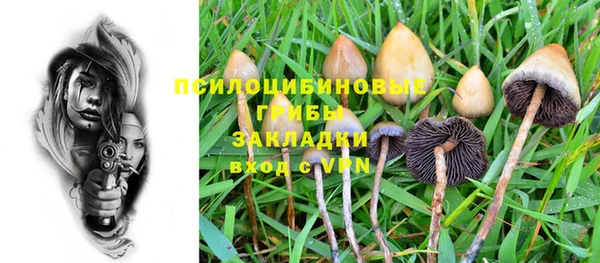 дживик Инсар