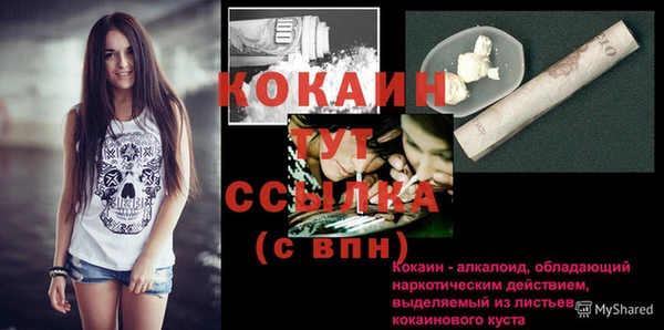 дживик Инсар