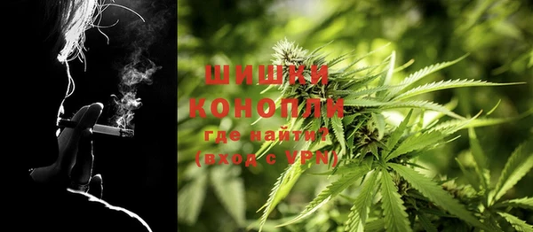 дживик Инсар