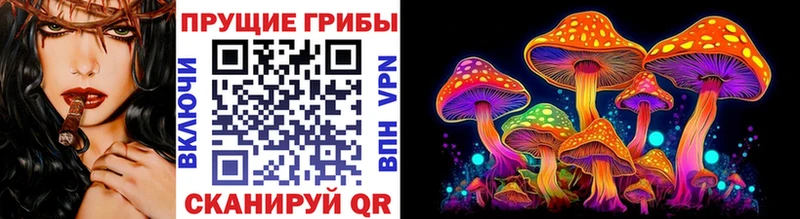 Купить где Гусь-Хрустальный Псилоцибиновые грибы мицелий